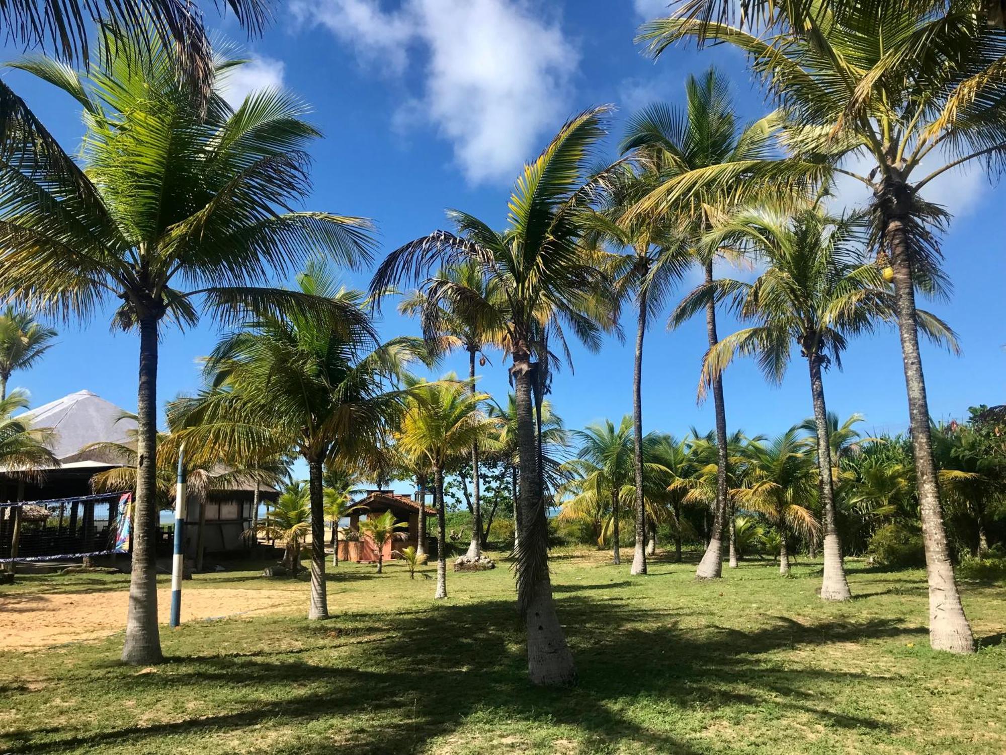 Отель Pousada Cheiro De Mar Нова-Висоза Экстерьер фото